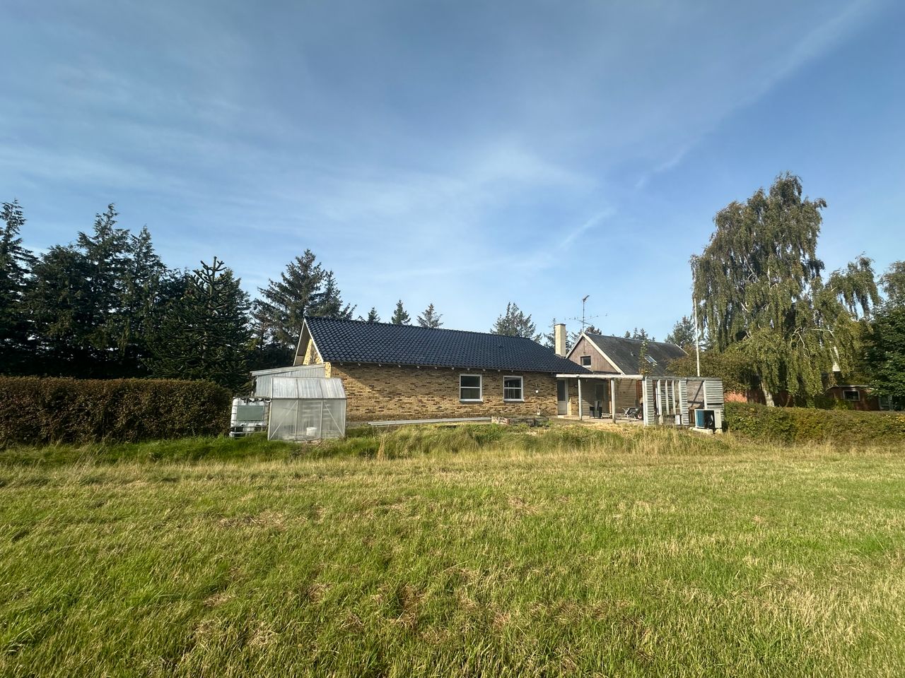 image 02