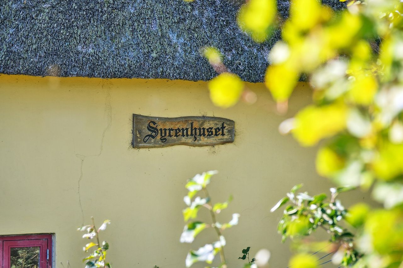 image 03